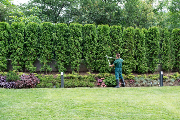 Lawn Irrigation Installation and Maintenance in Runge, TX